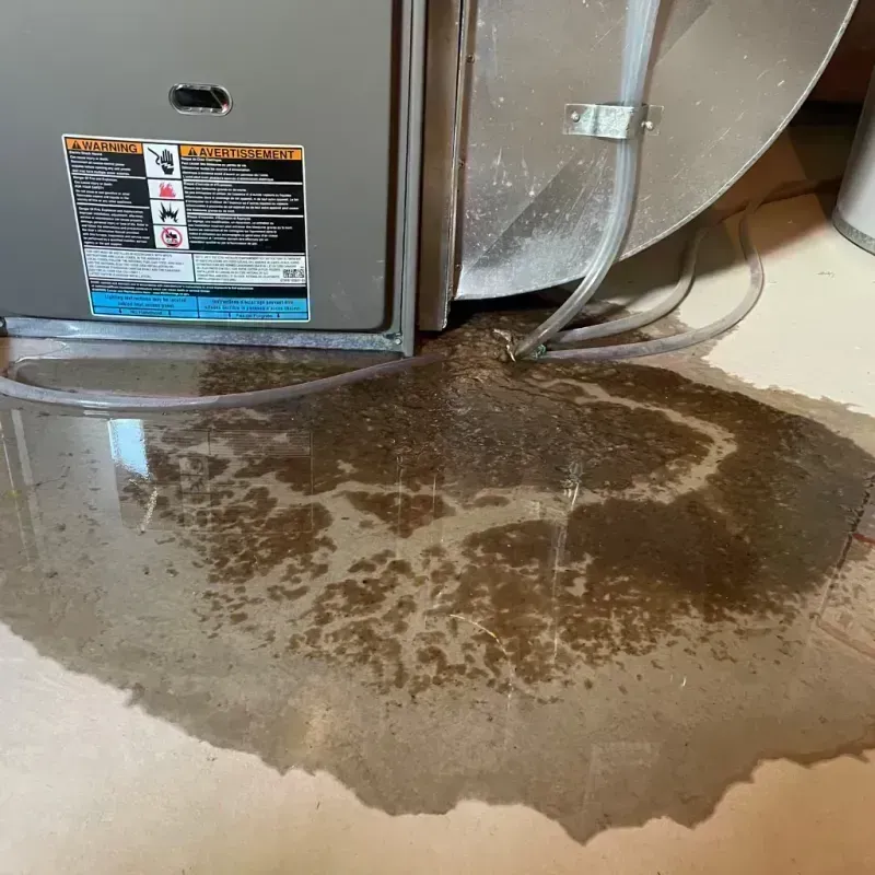 Appliance Leak Cleanup in Liberty Lake, WA